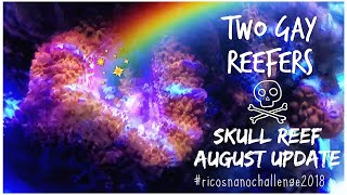 Rico’s Nano Challenge 2018 - Skull Reef August Update - Rico’s Aquariums