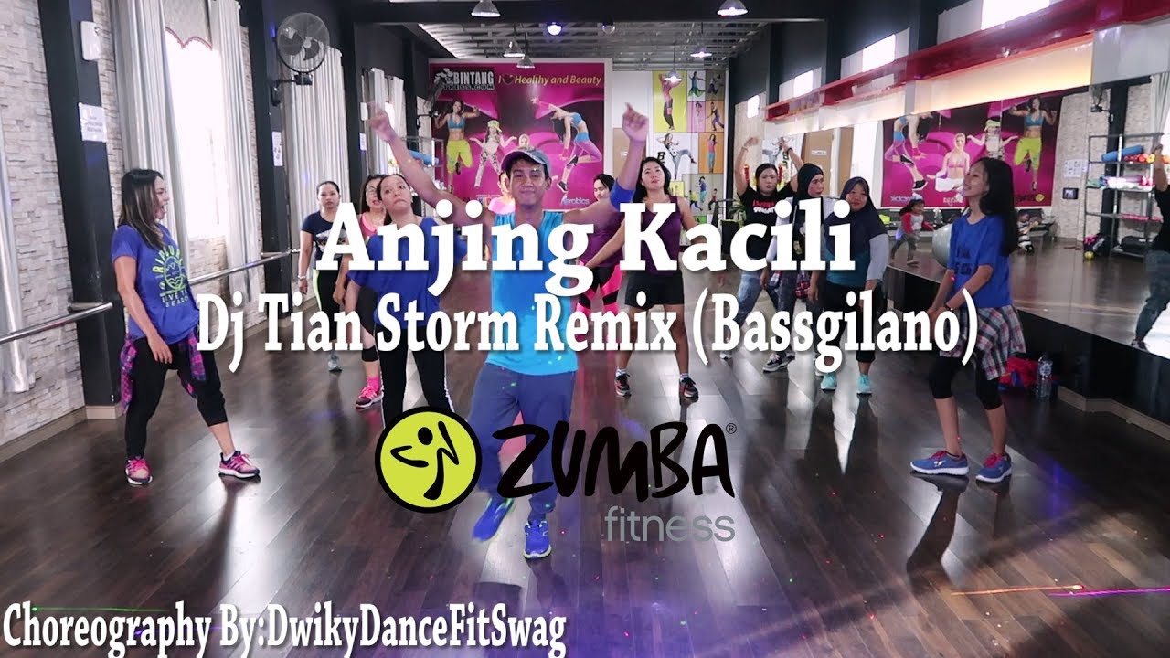 Anjing Kacili Remix  By Tian Storm (Bassgilano) (Choreography) | At BFS Studio (Zumba)