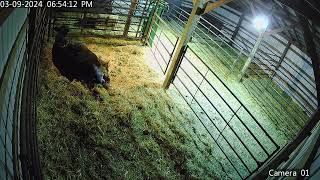 20240310110705 205 hnvr