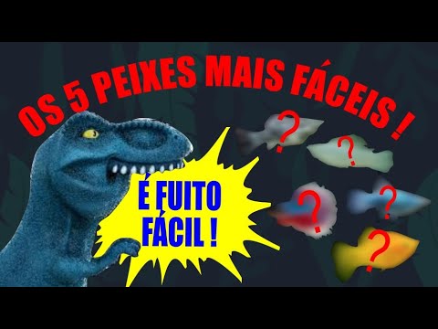 🔴TOP 5 EASY FISHES FOR AQUARIUM!