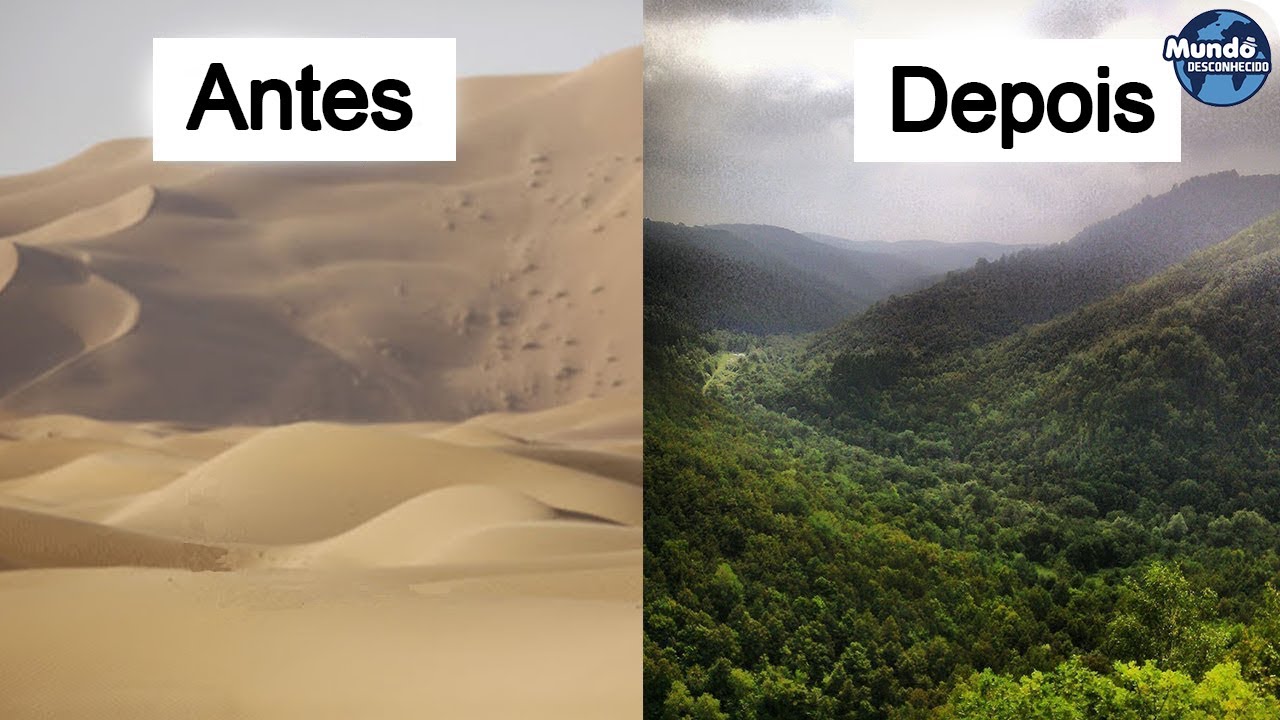 Como a China transformou o DESERTO em FLORESTAS VERDES!