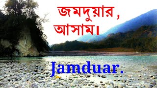 preview picture of video 'Jamduar in Assam, a new picnic spot.#জমদুয়ার,#যমদুয়ার,#Zamduar.'