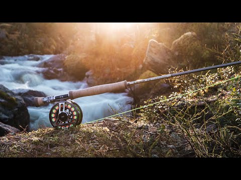Brand New Evotec G5 Reels Explained