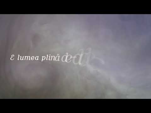 Ioan Muraru - Unde-s nebunii?