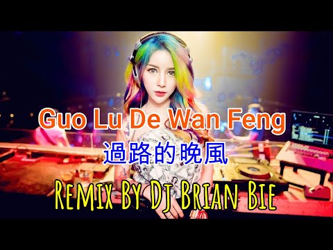 Guo Lu De Wan Feng - 過路的晚風(Electro Manyao) By Dj Brian Bie #dj抖音版2023