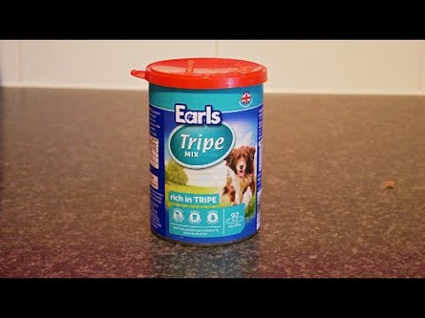 download lagu mp3 mp4 Tinned Dogs Aldi, download lagu Tinned Dogs Aldi gratis, unduh video klip Tinned Dogs Aldi