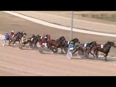 2023.02.18. 03. futam - SALUS HENDIKEP