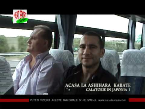 Nicu Dascalu - Examen 4 Dan in Japonia Part 1