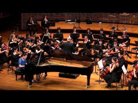 Beethoven Piano Concerto No 1 Movement 1 - Op 15 - Allegro con brio - Peter Seymour Orchestra - PSO