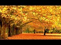 Autumn Leaves - Eva Cassidy & the London Symphony Orchestra