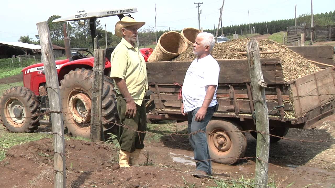 Agricultura Familiar 3 - O cooperativismo na agricultura familiar