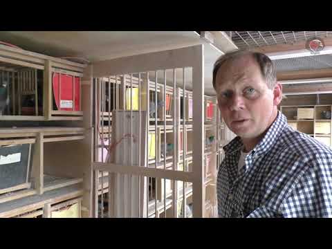 SG Hermann + Philipp Kallen - A visit to the Tauben-Ranch 2017 (Klaus Professional League)