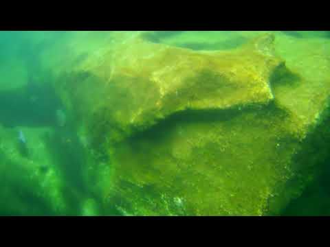 2021 1201 114423 091