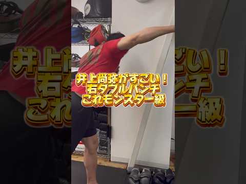 【井上尚弥】中谷選手を崩した右のダブルパンチがすごい！#鈴木悟 #井上尚弥 #ボクシング
