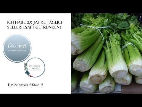 Ich habe 2,5 Jahre täglich Selleriesaft getrunken! Das ist passiert! Krass!!