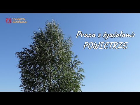 Praca z żywiołami: POWIETRZE #82