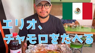 【メキシコ】ローカル食堂でチャモロ(スネ肉の煮込み)を食べる。