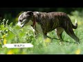 Makina 1810/23