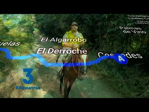 MIRIAM MONTES DAZA SABANAS DE SAN ANGEL