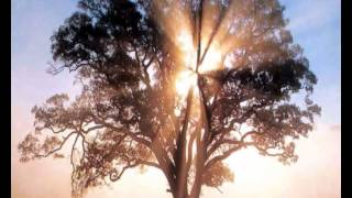 Desigualdade das riquezas - Livro dos Espíritos