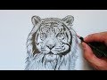 The Best 15 Imagenes De Tigre Para Colorear E Imprimir