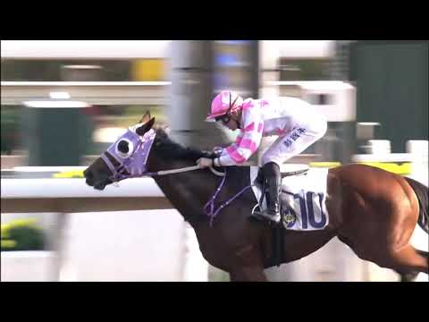 6/12/2020 (242) Turf Brilliant -  T Piccone