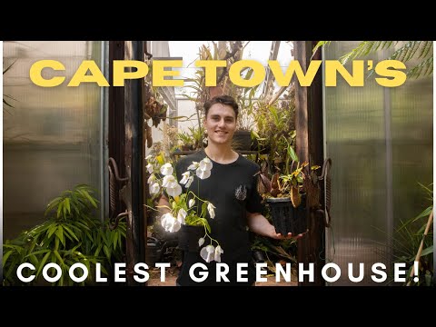 Odin's Huge Greenouse Tour - Giant Carnivorous Plants, Orchids, And More!