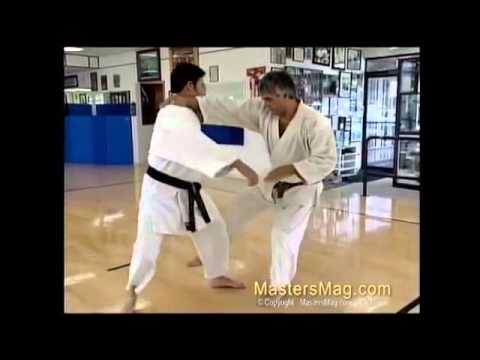 Classic Kumite by Boban Petkovic 8th dan | Best Budo Lessons