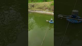 Será que tem peixe 🐠#shorts