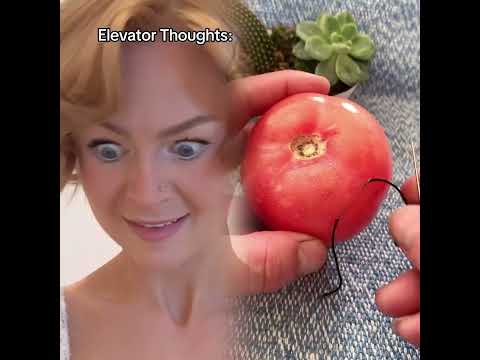 Elevator = Awkward #pov #funny