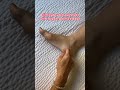 Eliminate arch pain fast with trigger point release