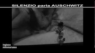 preview picture of video 'Auschwitz BIMBI DI MENGELE'