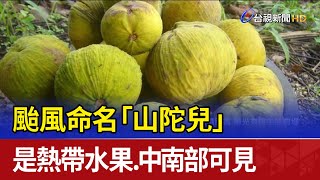 [問卦] 不說颱風Krathon硬要翻中文