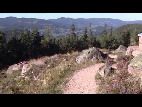 Le Linge 1914 Alsace-Lorraine France Part 2