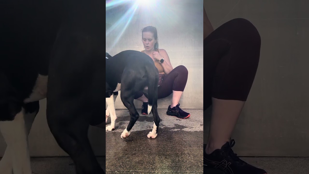 Montorosso's Video 2
