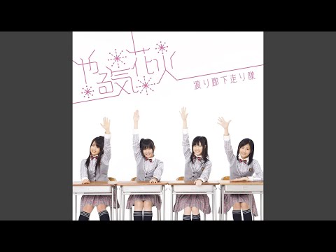 白いチューリップ