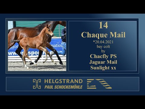 14 Chaque Mail by Chacfly PS - Jaguar Mail - Sunlight xx