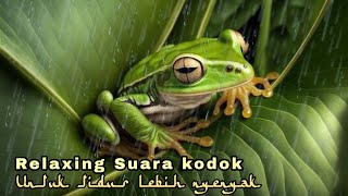 Download lagu Suara Hujan Dan Katak Bernyanyi (Relaxing Sound Of Rain And Frog Singing) mp3