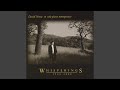 Voice in the Wilderness