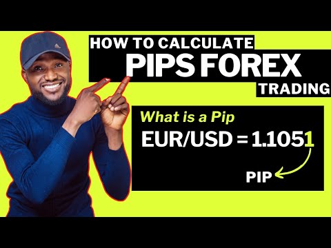 How To Calculate Pips Forex Trading For Beginners