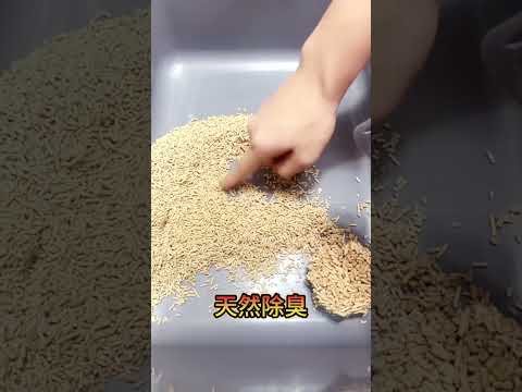 奴財駕到  稻殼貓砂-1包入