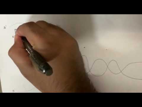 Biology SDS (KMJ) Chapter 5 : DNA Replication🔬