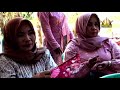 DINGIN ARSHAKA TERBARU LIVE JETIS 17 NOVEMBER 2020