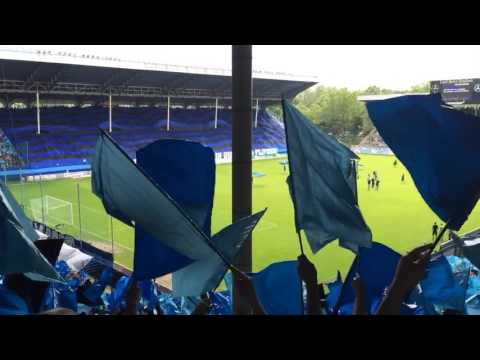 Blau und schwarz! SV Waldhof vs. Lotte