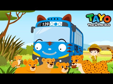 Why is Mommy Cheetah sad? l Safari Bus Tayo l Learn Animals with Vehicles l Tayo English Episodes