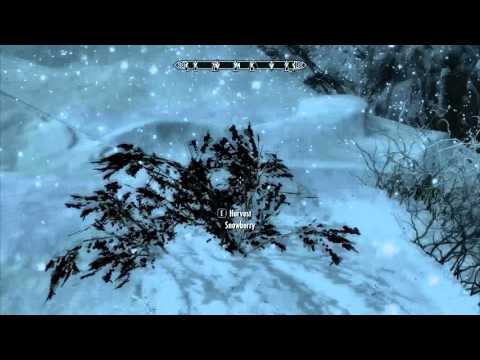 Let's Definitively Play Skyrim Part 139: Master