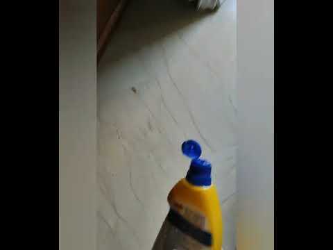 emulsio lavaincera marmo funziona? si o no?