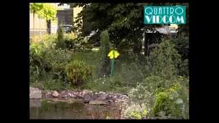 Crazy Daisy - bevattningsblomma