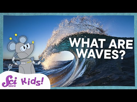 What Are Waves? | Science at the Beach! | SciShow Kids