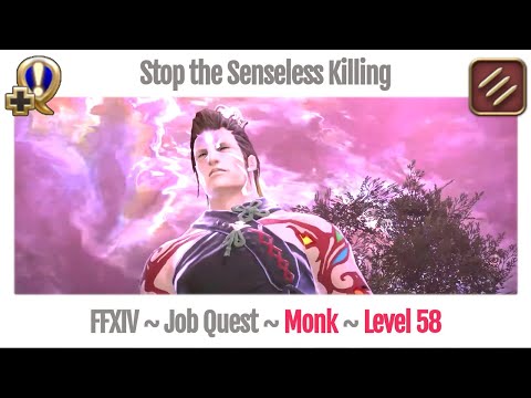 FFXIV Monk Level 58 Job Quest ~ Heavensward ~ Stop the Senseless Killing